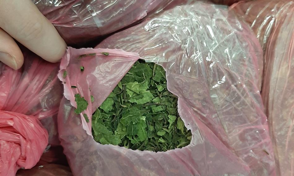 2019-10-29-954foto 5.jpg